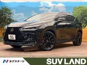 2025 LEXUS NX