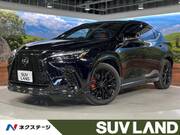 2024 LEXUS NX