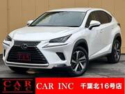 2019 LEXUS NX