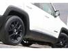 CHRYSLER JEEP RENEGADE