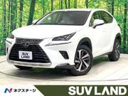 2018 LEXUS NX