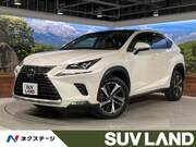 2020 LEXUS NX