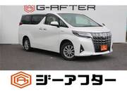 2019 TOYOTA ALPHARD HYBRID