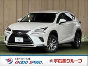 2019 LEXUS NX