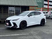 2024 LEXUS NX