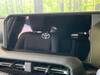 TOYOTA LANDCRUISER 250