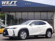 2021 LEXUS UX