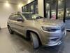 CHRYSLER JEEP CHEROKEE