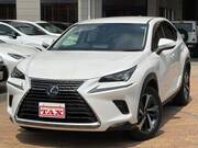 2019 LEXUS NX