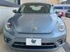 VOLKSWAGEN THE BEETLE