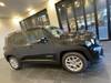 CHRYSLER JEEP RENEGADE