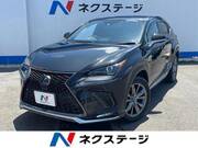2020 LEXUS NX