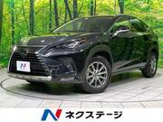 2021 LEXUS NX
