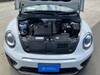 VOLKSWAGEN THE BEETLE