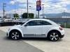 VOLKSWAGEN THE BEETLE