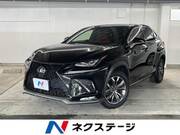 2019 LEXUS NX
