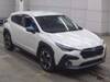 SUBARU OTHER