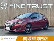 2019 NISSAN LEAF
