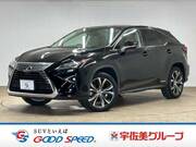 2017 LEXUS RX