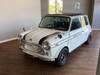 ROVER MINI