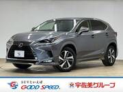2018 LEXUS NX