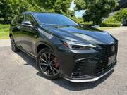 2024 LEXUS NX
