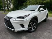 2019 LEXUS NX