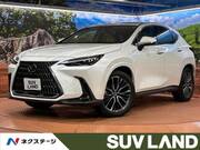 2025 LEXUS NX
