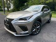 2018 LEXUS NX