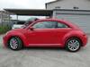 VOLKSWAGEN THE BEETLE