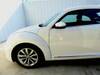 VOLKSWAGEN THE BEETLE