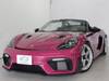 PORSCHE OTHER