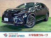 2020 LEXUS RX