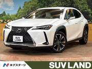2020 LEXUS UX