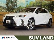 2021 LEXUS UX