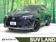 2024 LEXUS NX