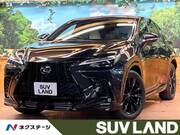 2023 LEXUS NX
