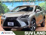 2017 LEXUS NX