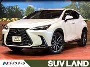 2023 LEXUS NX