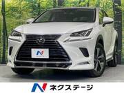 2020 LEXUS NX