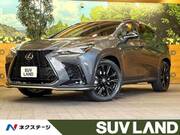 2025 LEXUS NX