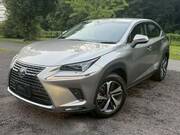 2019 LEXUS NX