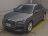 AUDI OTHER