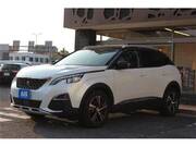 2019 PEUGEOT 3008