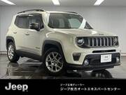2019 CHRYSLER JEEP RENEGADE