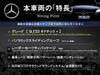 MERCEDES BENZ GLE
