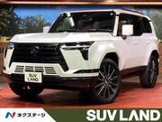 2025 LEXUS OTHER