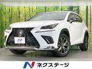 2019 LEXUS NX