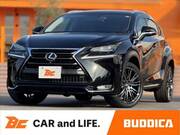 2015 LEXUS NX