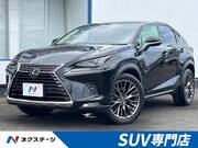 2018 LEXUS NX